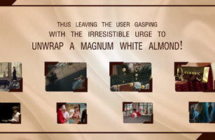 Vserv Magnum